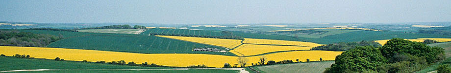 st alban roe wildwood mo