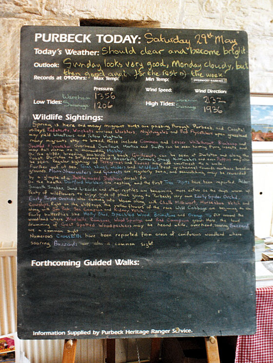The Purbeck Inormation and Heritage Centre provides daily updates for tourists.