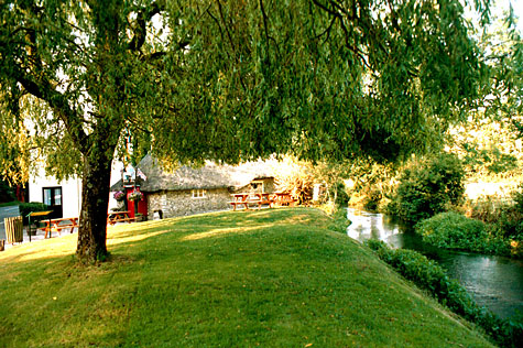 Visit the Smith's Arms at Godmanstone and enjoy your drink sitting on the grass and watching the River Cerne meander past.