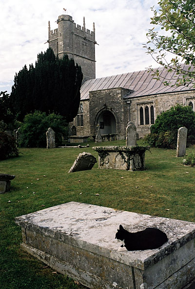 There are no mice at St. Peter's Church, Portesham!