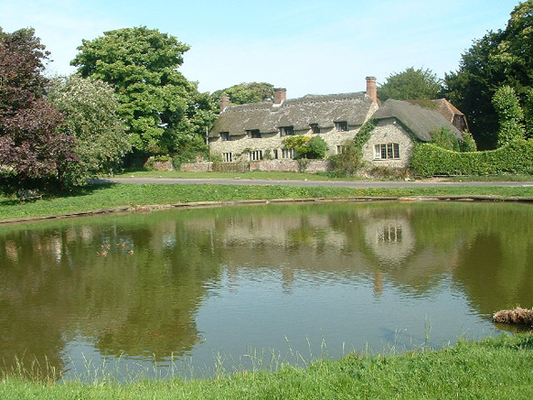 The pond at Ashmore village. Photo by John Smitten http://www.geograph.org.uk/profile/1139