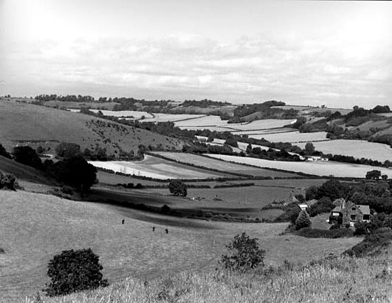 View from the Sydling to Cerne Abbas road. Photo: Robert Chisman