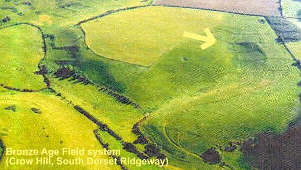 Crow Hill Field System 