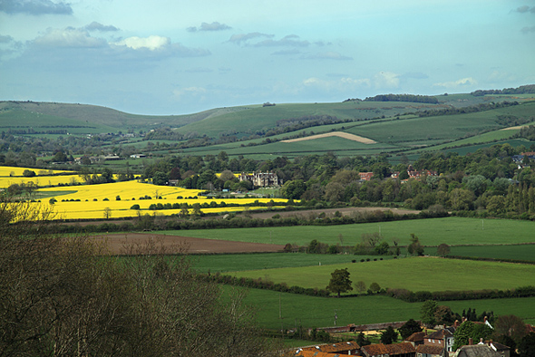 On the descent from Hambledon Hill on its east side, looking towards Iwerne Minster. A section of part of the north side of the village of Iwerne Courtney is visible at bottom right, and in the middle distance, Clayesmore School. Photo by Mike Searle - for more about Mike Searle click on photo.