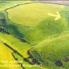 Dorset’s Ancient Fields